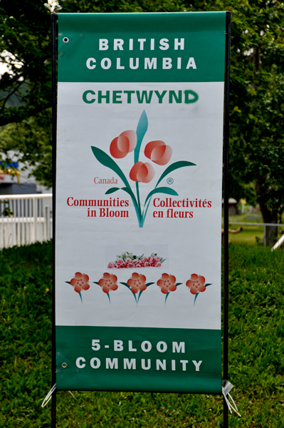 communities in bloom sign